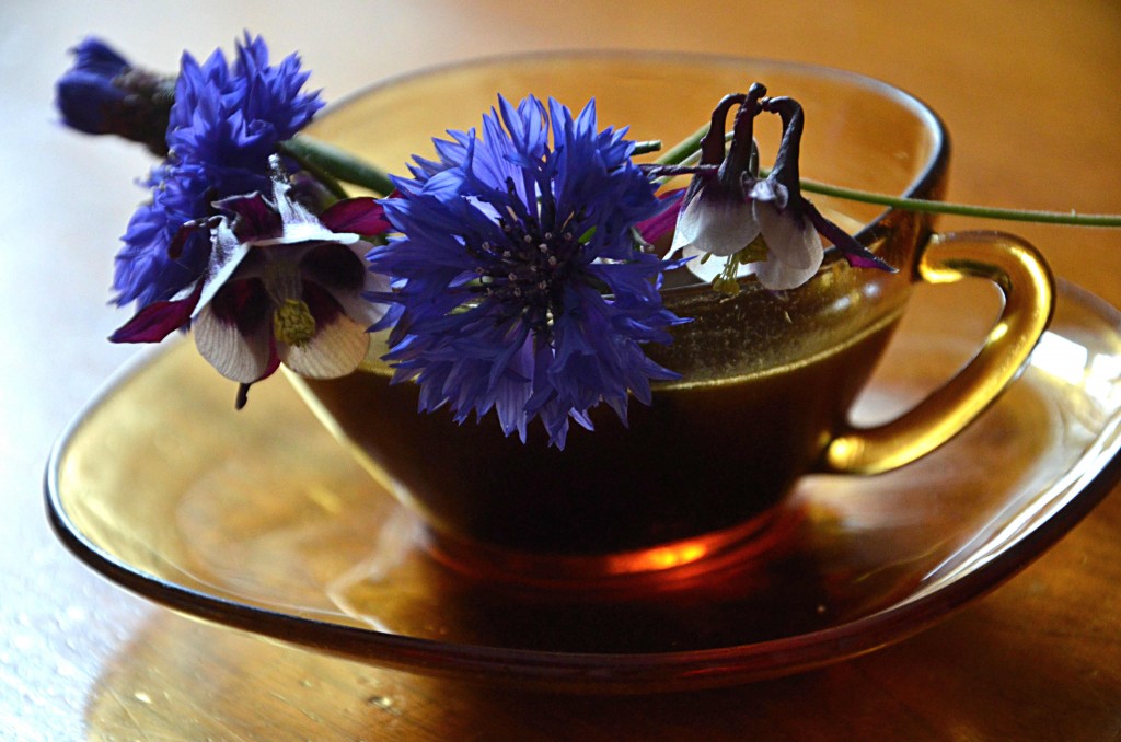 Att använda kaffesump