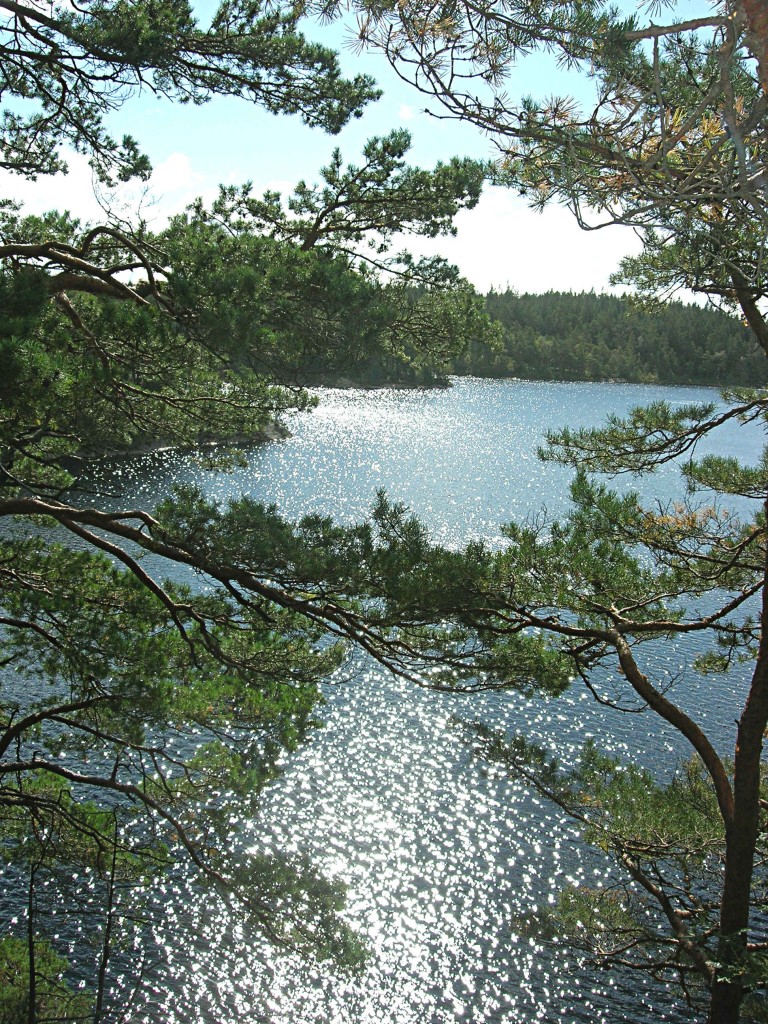 Använd såpa