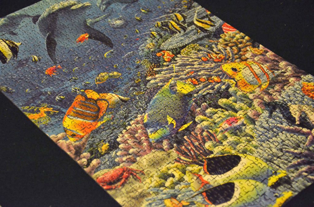 Global biologisk mångfald