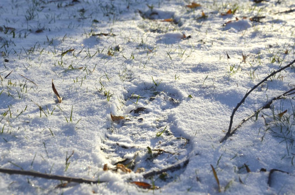 fasteutmaning för klimatet