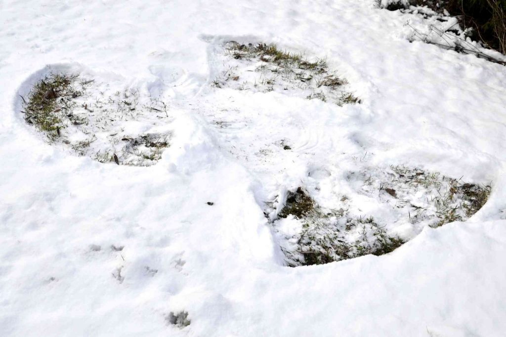 klimatsorg. Bild på snöängel.