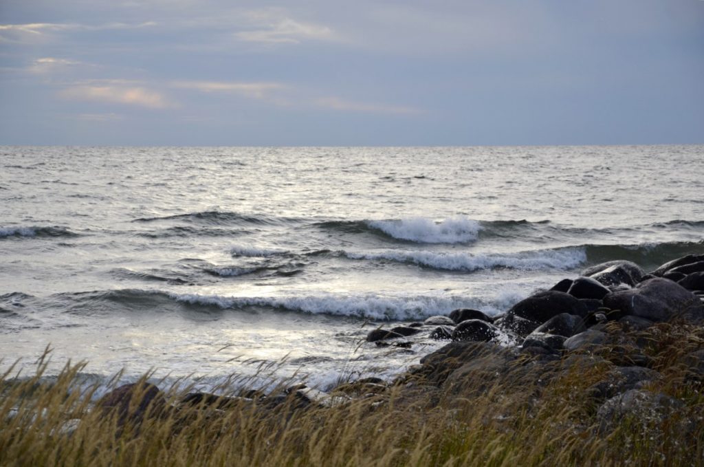 Investering i vindkraftandelar. Bild på vind vid strand. 