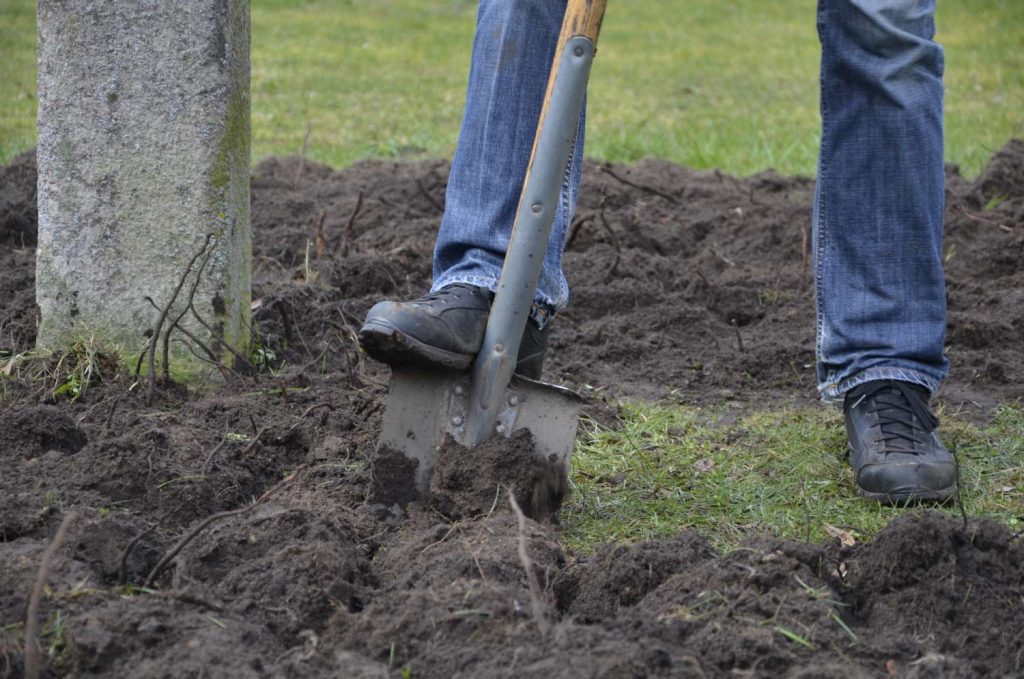 Att gräva djupare. Bild på grävande i gräsmatta med stor spade. 