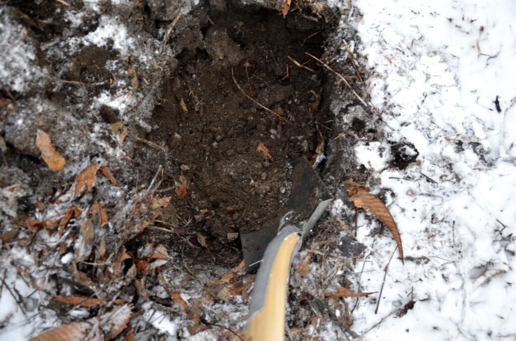 Gräv där du står. Bild på spade nedstucken i jorden och snö uppe på markytan. 