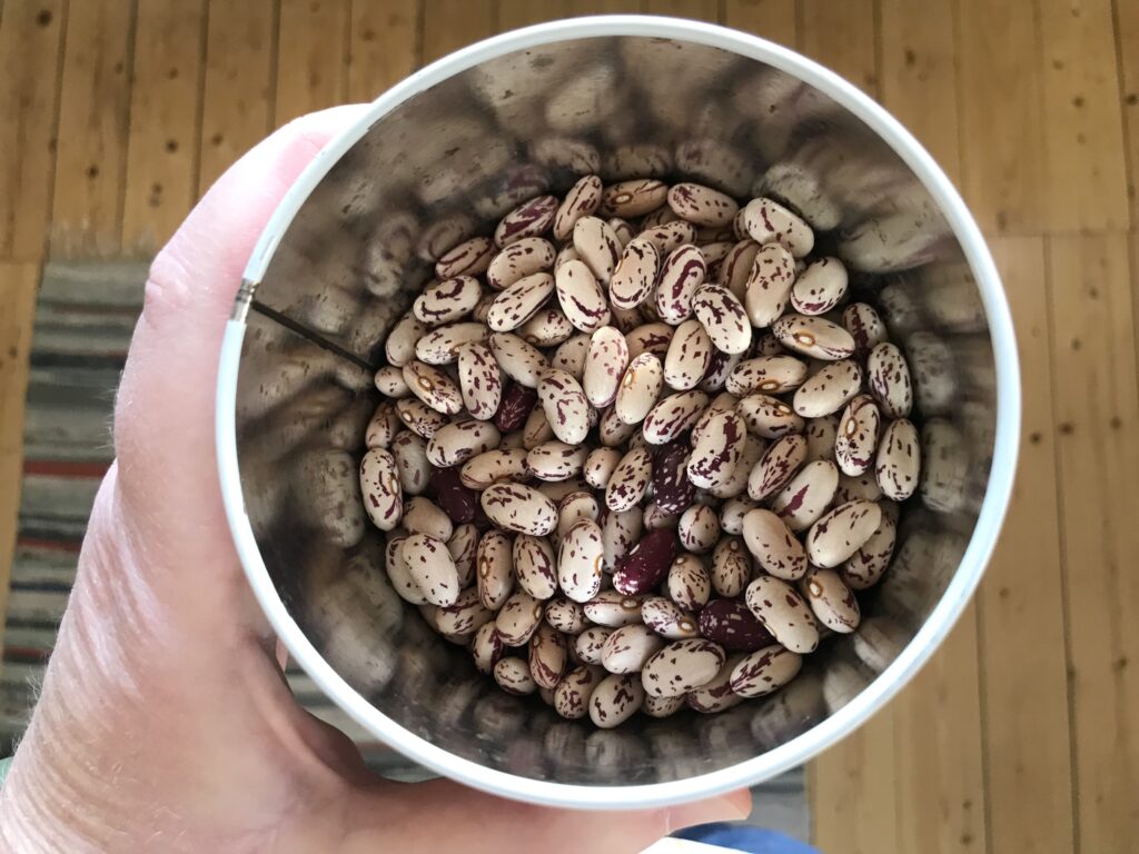 Proteinskifte. Bild på burk med Gauksbönor. 